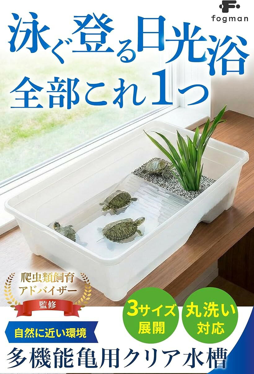 爬虫類飼育アドバイザー監修 亀 水槽 カメ タートル 飼育ケース クリア 水中 陸地 ...
