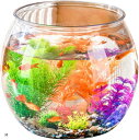 金魚鉢 水槽 メダカ 容器 飼育 アクリル プラスチック アクアリウム 大型水槽 透明 C(クリア, M)