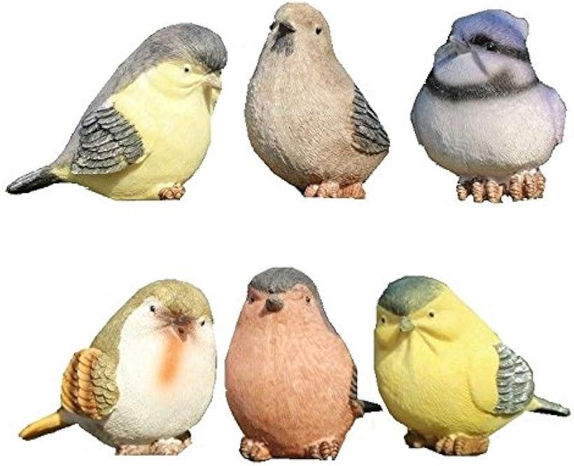 ۥå㤨־Ļ ʪ 6 å ǥ˥    ǥ˥󥰻 ưʪ ѹ ƥꥢ  襤 ǥ (Ļ åȡפβǤʤ2,880ߤˤʤޤ