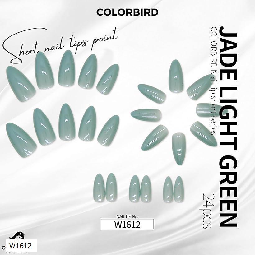ネイルチップ ショート 24枚 緑 付け爪 短め 可愛い ポイント(緑, ショート)