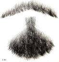 付け髭 ひげ 口髭 人毛 ウィッグ 髪製髭 手作り本物 コスプレ用 1個(Z JIN)