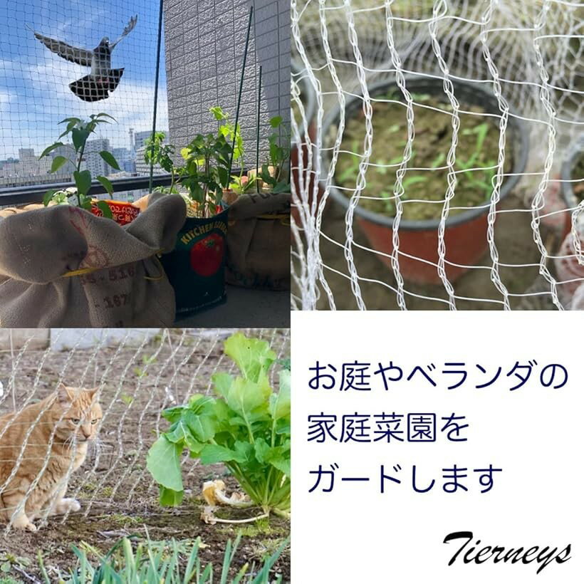 �ڳ�ŷ��󥭥�1�����ޡ���Ļ�ͥå� 2mx5m Ļ���� ���饹 ȷ Ļ���к� Ļ�褱�ͥå� �ɽ��� Ʃ���� (2m x 5m)