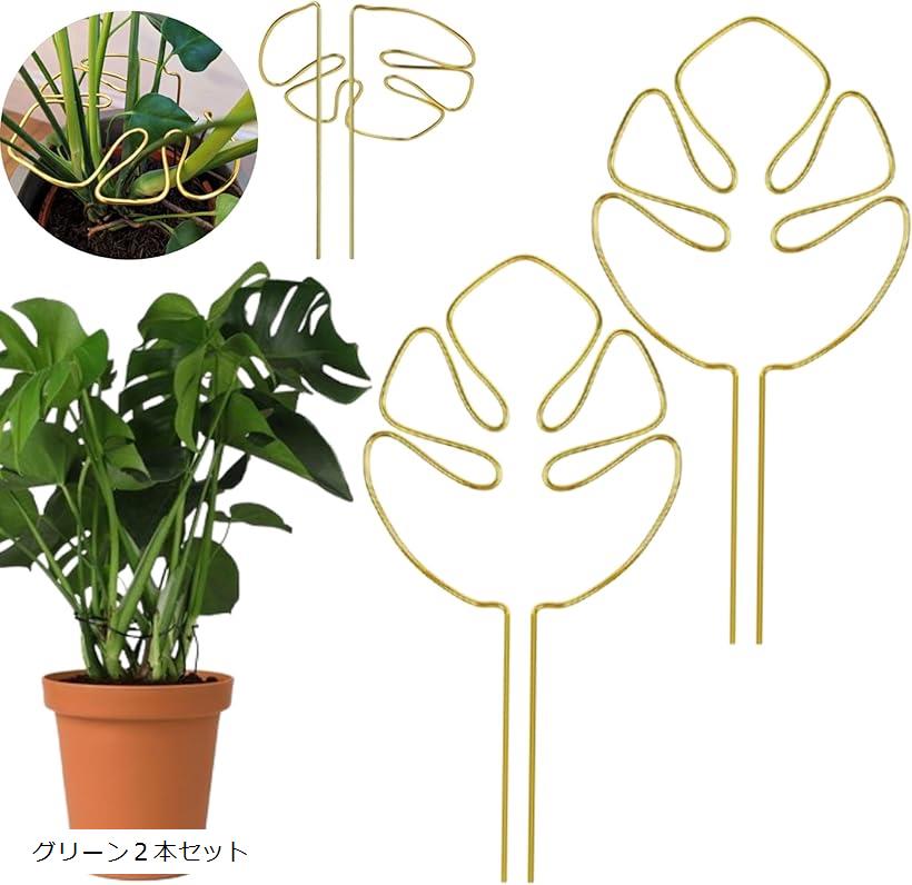 園芸支柱 モンステラ 観葉植物 植物サポート 植物倒れ防止 モンステラフラワースタンド 植物スタンド 鉢植え支柱 ガーデニング支柱 錆びにくい 2本セット (グリーン2本セット)