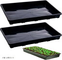 育苗トレー 受け皿 ガーデニングトレイ 育苗箱 室内外 多用途 ブーツトレイ 水耕栽培 鉢植え 多肉植物 保湿 玄関 農場 庭植え 植え替え 収納 排水設計(ブ...