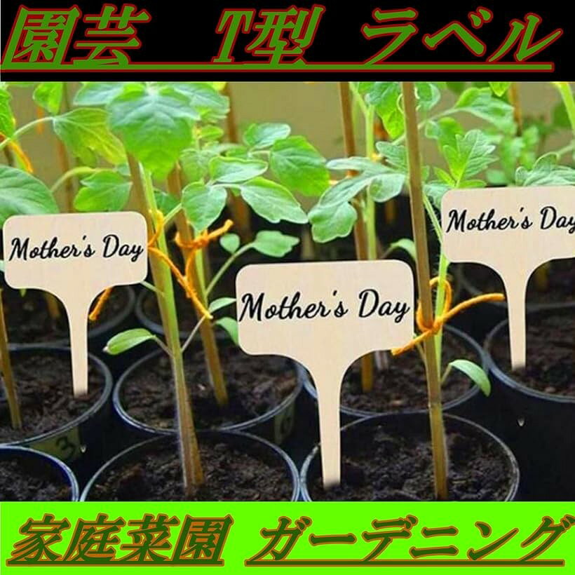 ホリックの【楽天ランキング1位入賞】園芸 用 T型 木製 ラベル 植物ラベル 植物用タグ 家庭菜園 ガーデニング 鉢 植え 花壇 (ブラウン(50))｜アングル3