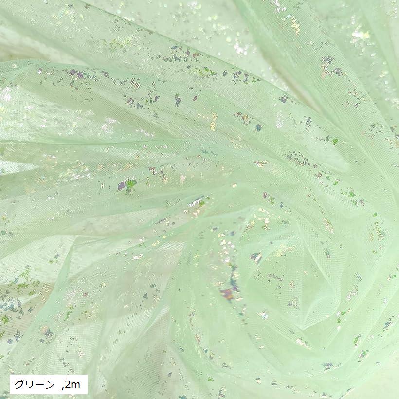 2way ラメ チュール 生地 キラキラ 幅150cm カラフル レース 手芸 衣装 布 (グリーン, 2m)