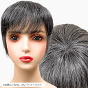 部分ウィッグ かつら ヘアピース ポイントウィッグ 白髪 グレイヘアー 女性 レディース 人毛mix ショート 前髪 ストレート 前髪ウィッグ O型つむじ 医療用 頭頂部(白5黒5人毛mix, グレイヘアーアップ)