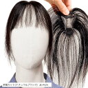 部分ウィッグ ヘアピース ポイントウィッグ 女性 レディース 人毛100% かつら 前髪ウィッグ ショート トップピース トップカバー つむじ 頭頂部 白髪カバー(前髪カット(ナチュラルブラック), 6x4cm)