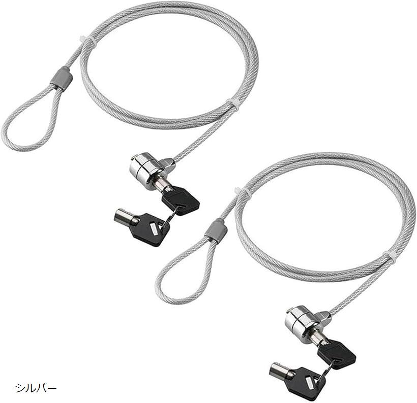 ワイヤーロック セキュリティワイヤー 1.8m 2個セット スペアキー付 防犯用 (シルバー)