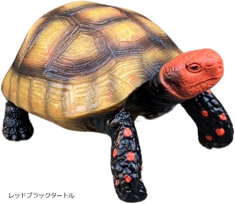 亀 カメ リクガメ タートル 置物 庭 ガーデニング ガーデン オブジェ インテリア 飾り オーナメント リ..