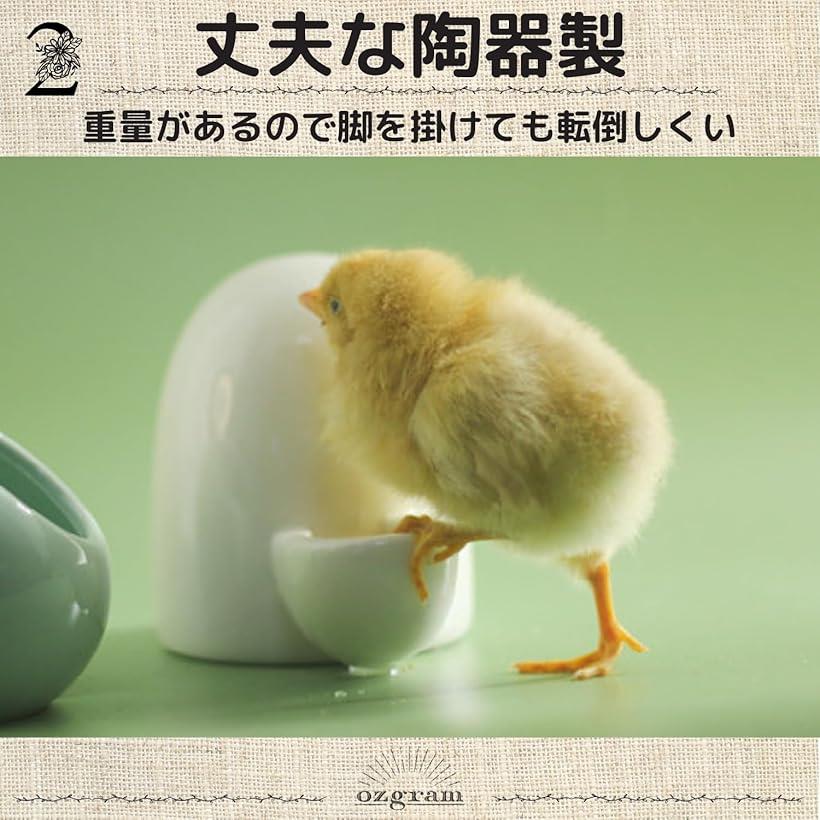 ���� ƫ���� �֤��� ����ߴ� ��奿�� ���ܥȥ� ��ưʪ ��Ļ ���� �ϥ�ͥ��� �ϥॹ���� ����󥬥ꥢ�� (Blue, ��ưʪ��)