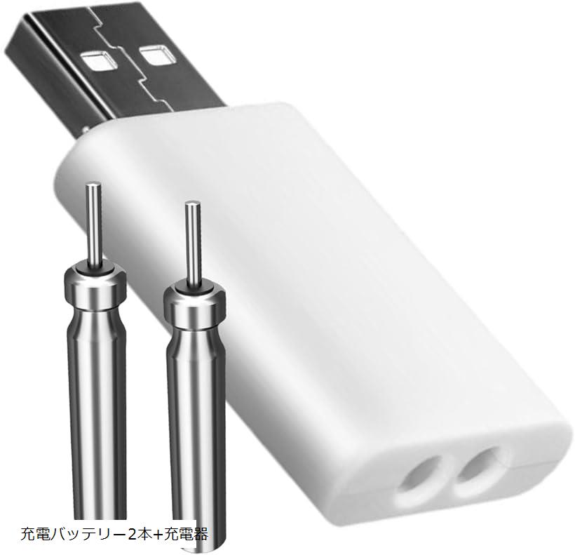 CR425 充電バッテリー2本+充電器 リチウム電池 充電電池 USB充電 電気ウキ 竿先ライト 夜釣り フロート グロースティック 浮き フィッシング ピン型