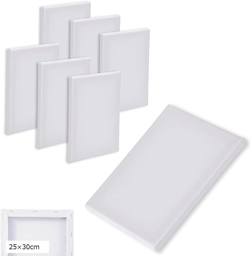 キャンバスボード 6枚セット キャンバスアート 抜きキャンバス ミニ 長方形 画材 絵画 水彩画 油絵 (ホ..