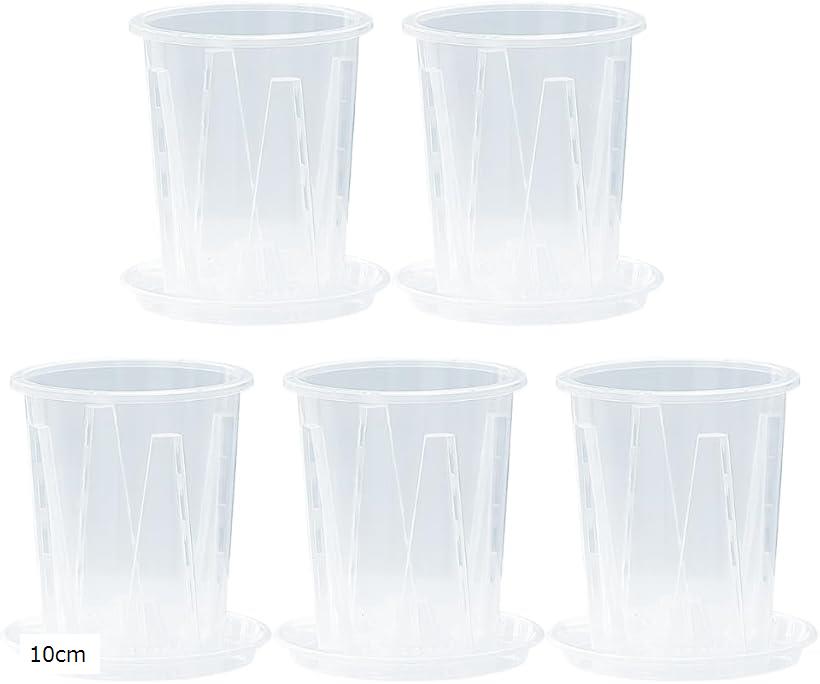 【楽天ランキング1位入賞】プラスチック 植木鉢 スリット鉢 観葉植物 透明 鉢植え おしゃれ クリア 5個セット (クリア, 10cm)