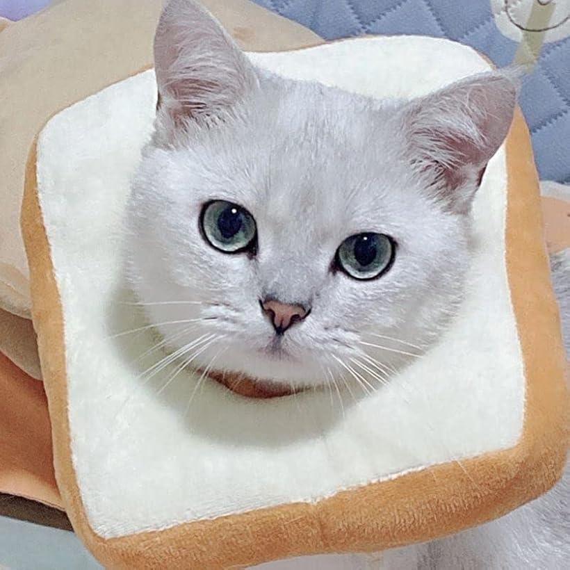 ���ꥶ�٥����顼 ���Ӥ��ɻ� ���� Ĵ���ǽ (��������, L)