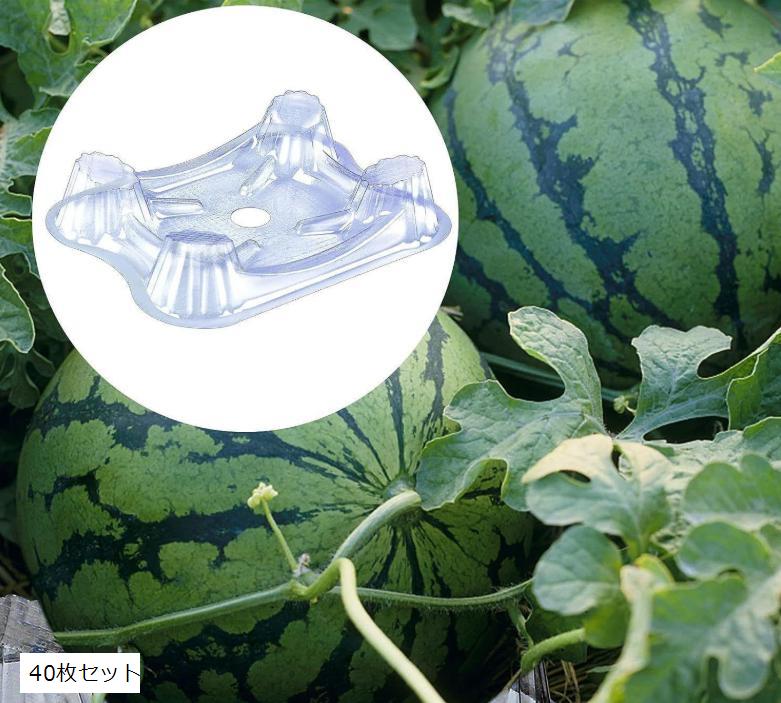 スイカトレイ スイカマット 敷き藁 台 園芸 栽培 皿 カボチャ メロン 受け皿 (クリア, 40枚セット)