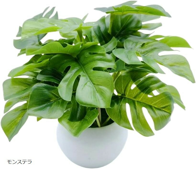 フェイクグリーン 人工観葉植物 ミニ 卓上 インテリア (モンステラ, Small)...