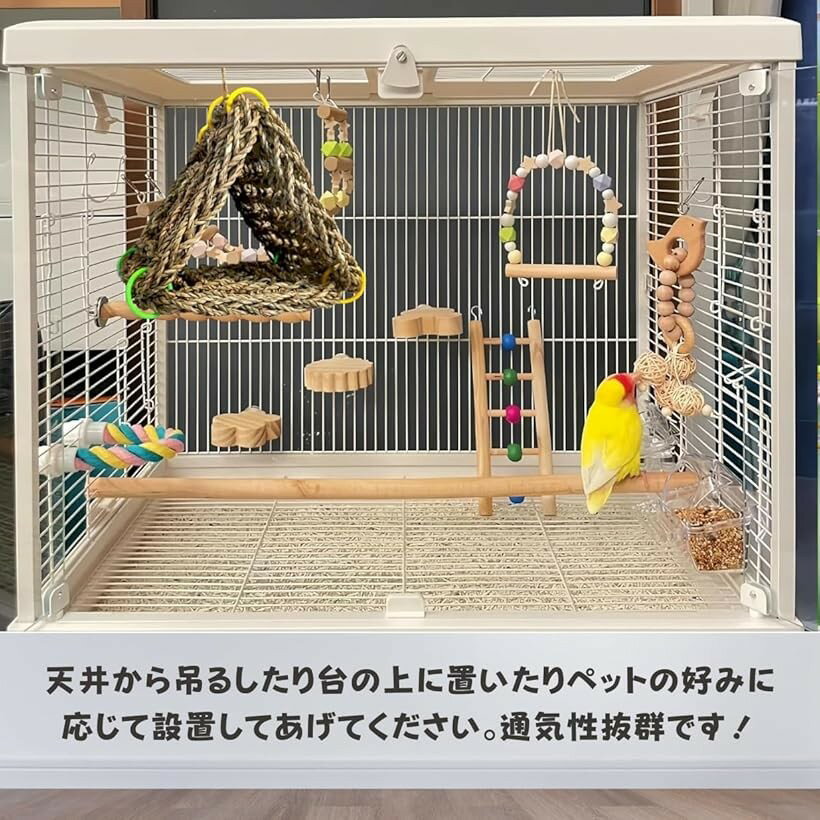 �С��� �ƥ�� Ļ���� ���� �٥å� ��Ļ ���� �� �̵��� ʸĻ ������ ���� �˿� (ŷ����, �ȥ饤���󥰥�)