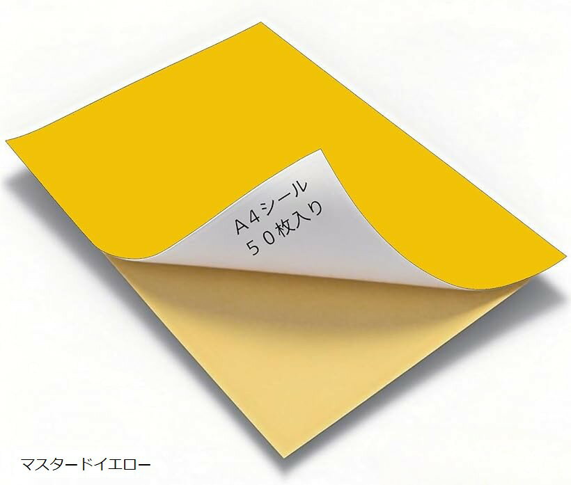 ���顼������ A4 �������ѻ� �Ρ����å� ���� �ե꡼���å� ���� ������ ���顼������ Ǵ�� ������ ���� 50�� (�ޥ������ɥ�������)