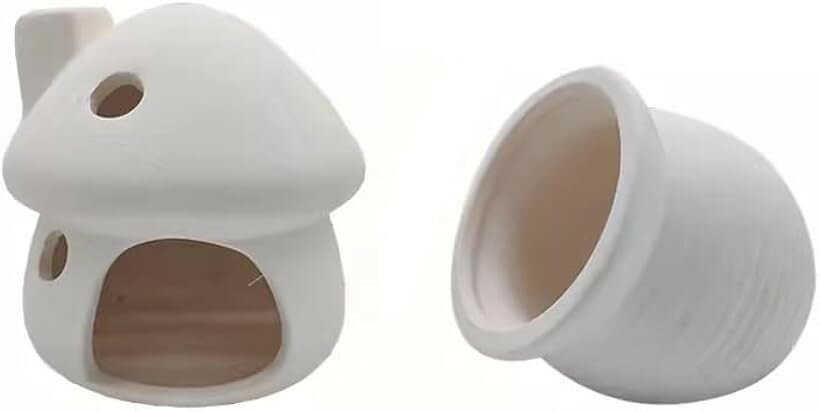 アクアリウム 2点セット オーナメント きのこハウス ホワイト (ホワイト, 画像参照)