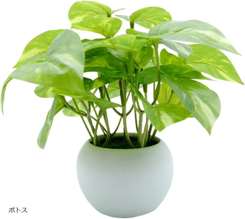 フェイクグリーン 人工観葉植物 ミニ 卓上 インテリア (ポトス, Small)