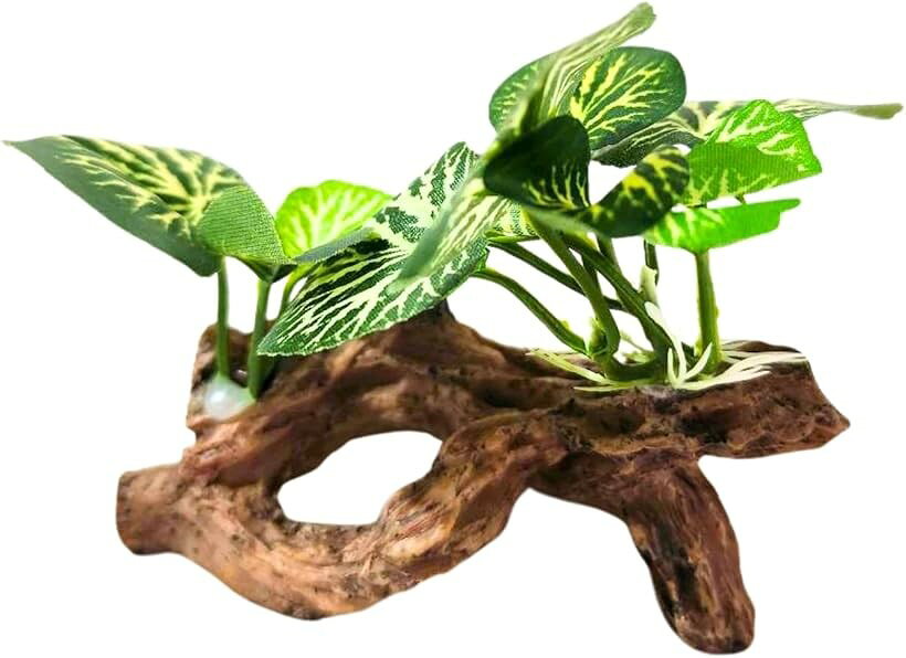 水槽 装飾 人工 植物 流木 水槽内アクセサリー (マルチカラー, 13x6x5cm)