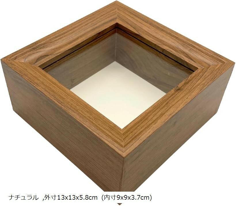 楽天市場】昆虫 標本箱（コレクション｜ホビー）の通販