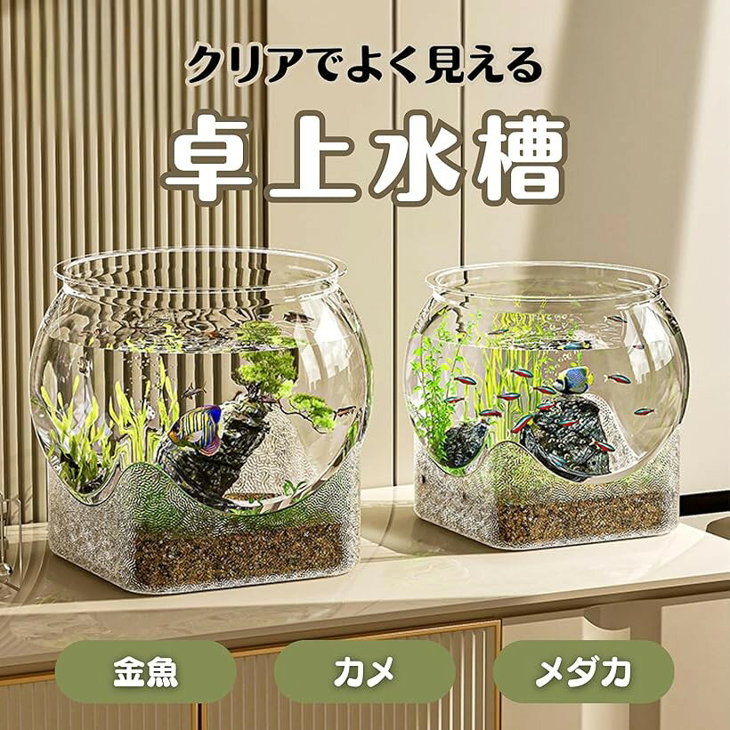 ���ȭ ���� �������ꥦ�� �ץ饹���å� ��� ���� ����� (Ʃ��, 22.3x22.3x19.5cm)
