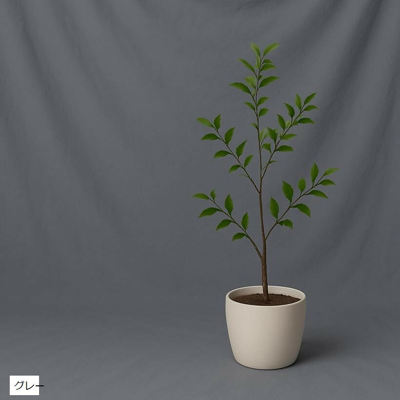 背景布 大型 無地 バックスクリーン 写真 スタジオ 多用途 撮影用 撮影布 装飾 折りたたみ 洗濯可能 (グレー, 3mx4m)