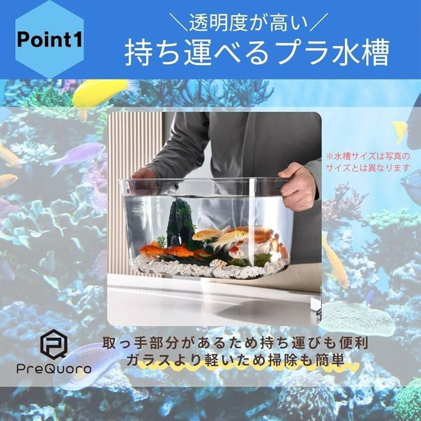 ���ʤ����� �ݽ���ñ ���ȭ ����� ���� �������ꥦ�� �ƥ�ꥦ�� ����ƥꥢ �ץ饹���å� (Ʃ��)