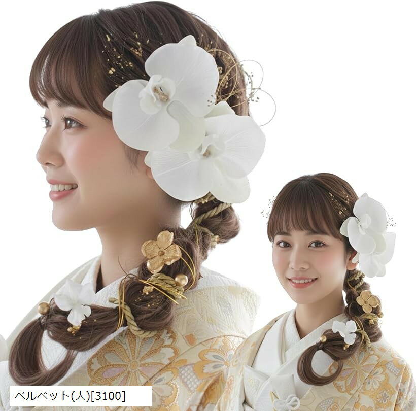 ���ͼ���´�ȼ��˱Ǥ��� �ڤ䤫ȱ���� ��ĳ�����꡼�� ��µ ���޻� �ֲ���� �󽽺Фν��� �ϥ�ɥᥤ�� (�٥�٥å�(��)��3100��)