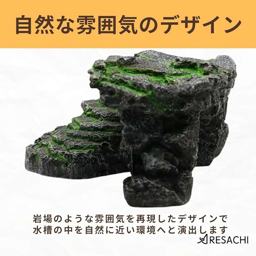 ����� �����륿�� �Ф��� �ƥ�ꥦ�� ξ���� ������ ����� ���� (�֥�å�)