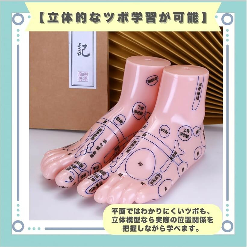 足ツボ模型 立体 練習 左右セット 図解 マネ...の紹介画像3