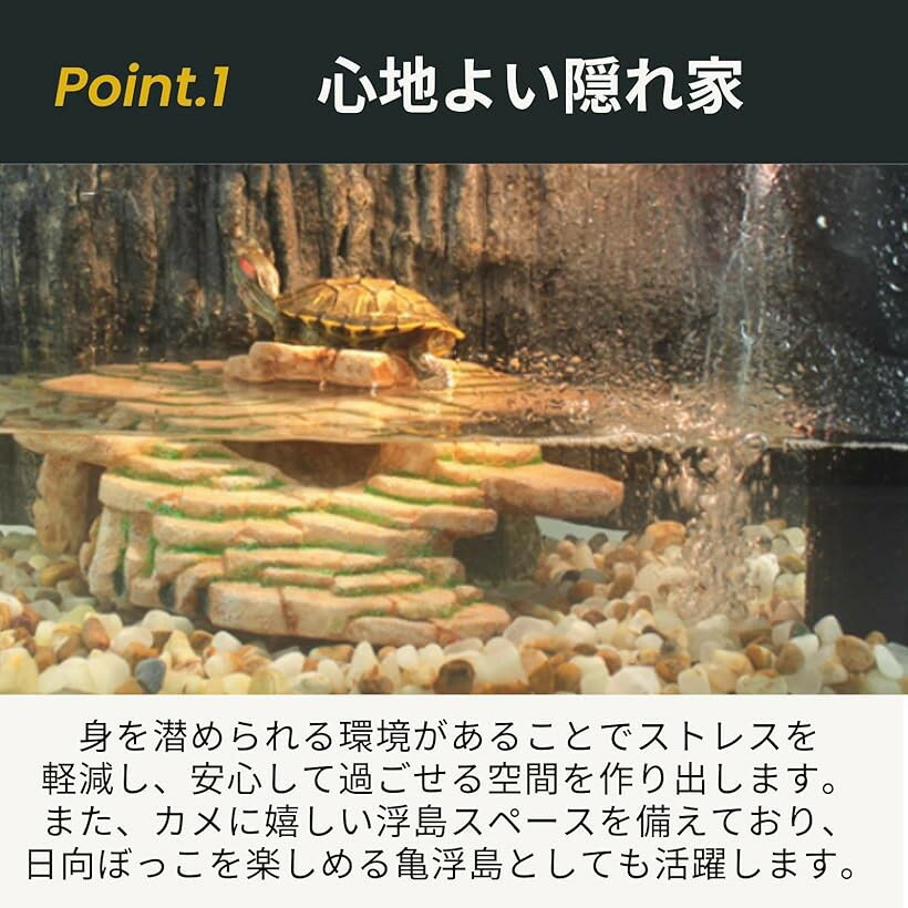 ����� �����륿�� ����� �� Φ�� ξ���� ���� ���� ƶ�� ���� �Ф��� ���� �ȥ��� ������ ����쥪�� (���졼)