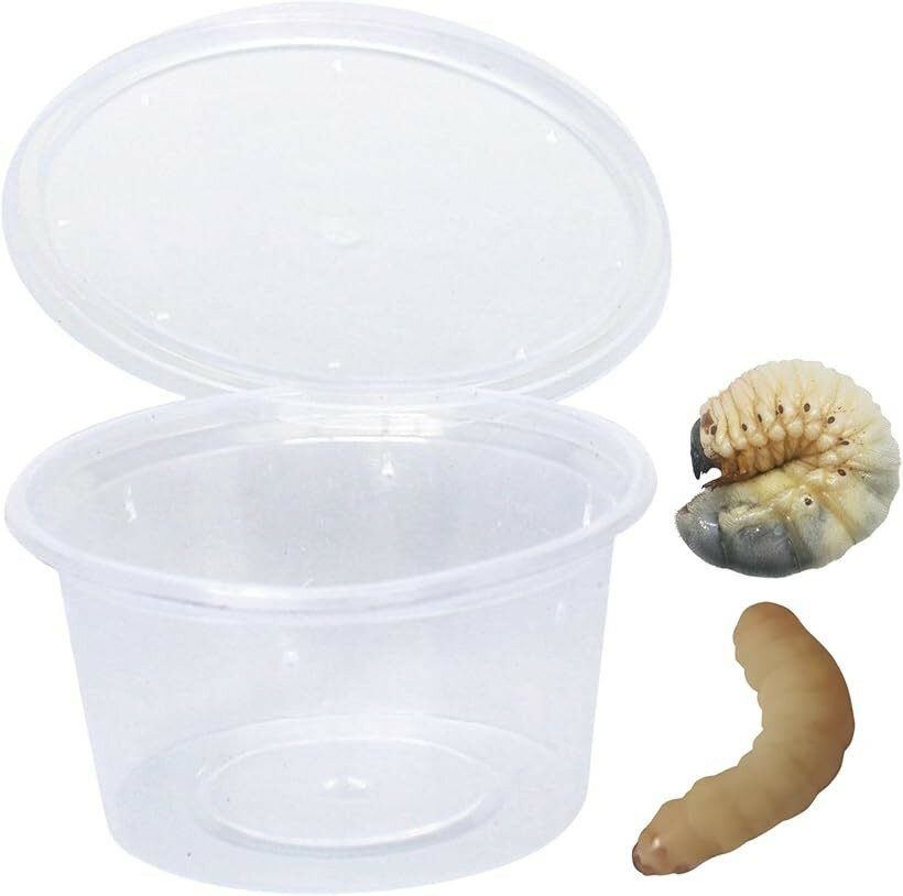 繁殖容器 成虫 幼虫 昆虫 プリンカップ クワガタ 卵 カブトムシ 穴あきプラスチックカップ 30個 (透明)