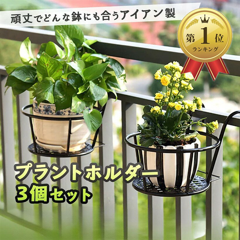 【楽天ランキング1位入賞】プラントホルダー 3個セット 吊り下げ 植木鉢 ベランダ バルコニー 家庭菜園 観葉植物 フラワースタンド (黒色)