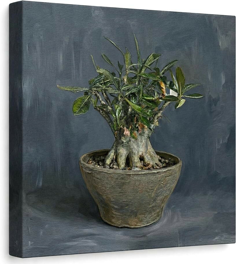 塊根植物 コーデックス 絵画 アートパネル ポスター 壁掛け インテリア (002B（アデニウム）, 長さ60 cm x 幅60 cm)