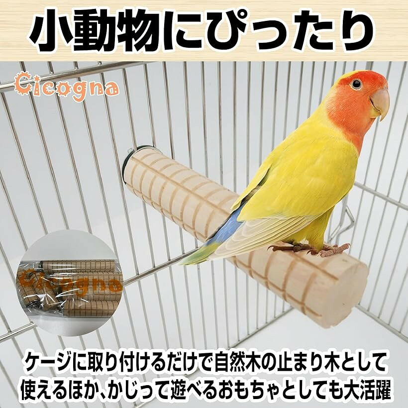 ホリックのかじり木 コーン 6本セット 直径3cm 止まり木 インコ オウム ウサギ ハムスター おもちゃ ケージ用 テグー チンチラ モルモット 小動物 ペット用品 (S(8cm)6本, S(8cm))｜アングル3