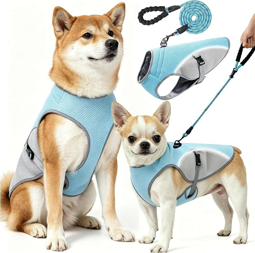 犬 クールベスト2mリード付き犬 冷却ベスト冷感服 UPF50+ 小型犬・中型犬・大型犬対応 水洗い可能 柴犬 メッシュ 反射材付き 夏服ひんやり 熱中症対策グッズ 散歩 (ブルー＋グレー, XL)
