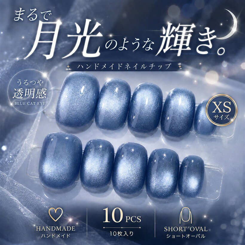 ネイルチップ ベリーショート 短め つけ爪 ハンドメイド 手作り nail tips シンプル 可愛い (ブルー, XS)