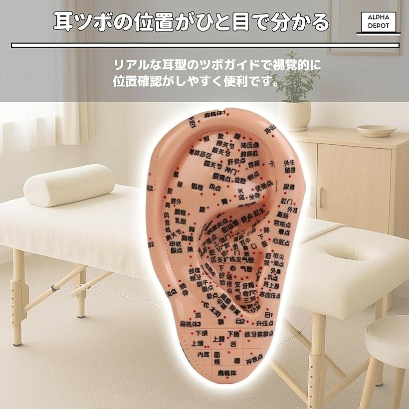 ホリックの耳ツボ 模型 17cm 樹脂製 人体模型 耳マッサージ 練習用 ツボ位置確認 鍼灸 トレーニング用 (マルチ, 17cm)｜アングル3