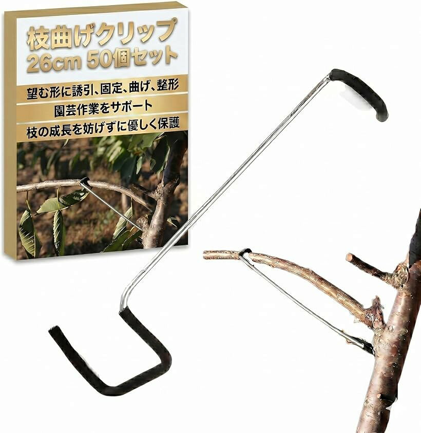 バリエーションコード : 2bkh4do5uq商品コード2bkh49u9vn商品名枝曲げクリップ 支柱 金具 花 クリップ 果物 工具 滑り止め 26cm 50個セットブランドSESHISカラーなし「枝曲げクリップ 支柱 金具」は、果樹や盆栽の枝を、望む形に誘引、固定、曲げ、整形するための専用クリップです。植物の枝に装着することで、その枝の成長方向を調整したり、特定の形に固定することができます。花卉の茎の固定や、芸術的な盆栽の枝造形まで、これ一つで多岐にわたる園芸作業をサポート。植物の成長をコントロールし、思い描いた通りの美しい樹形・草姿を実現します。小さな新芽から太く頑丈な主枝まで対応可能です。簡単装着で効率アップ。複雑な操作は一切不要です。枝にパチンと留めるだけの簡単設計で、どなたでも手軽にお使いいただけます。作業時間の短縮にも繋がり、より多くの植物のケアに時間を充てることができます。枝曲げクリップは、繰り返し使用に耐える頑丈な設計と、枝を傷つけにくい滑らかな表面加工が施されており、園芸作業を強力にサポートします。柔軟性のある素材でできており、枝の成長を妨げずに優しく保護します。「商品仕様」サイズ1個 : 全長 約26cm、スリーブ付き（重量 : 約40g）/ 材質 : ステンレス ＊「18cm 50個セット」「26cm 50個セット」のバリエーションをご用意しているので、お好きなものをお選びください。※ 他ネットショップでも併売しているため、ご注文後に在庫切れとなる場合があります。予めご了承ください。※ 品薄または希少等の理由により、参考価格よりも高い価格で販売されている場合があります。ご注文の際には必ず販売価格をご確認ください。※ 沖縄県、離島または一部地域の場合、別途送料の負担をお願いする場合があります。予めご了承ください。※ お使いのモニタにより写真の色が実際の商品の色と異なる場合や、イメージに差異が生じることがあります。予めご了承ください。※ 商品の詳細（カラー・数量・サイズ 等）については、ページ内の商品説明をご確認のうえ、ご注文ください。※ モバイル版・スマホ版ページでは、お使いの端末によっては一部の情報が表示されないことがあります。すべての記載情報をご確認するには、PC版ページをご覧ください。