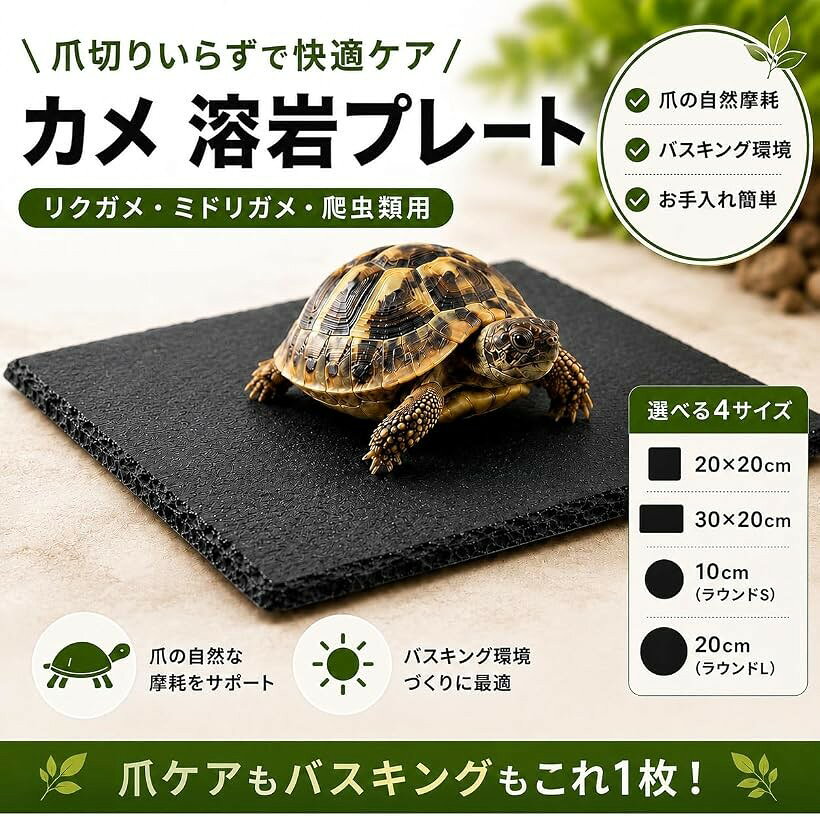 亀 溶岩 プレート 床材 陸地 リクガメ レオパ 保温 保湿 (ブラック, サークル10cm)