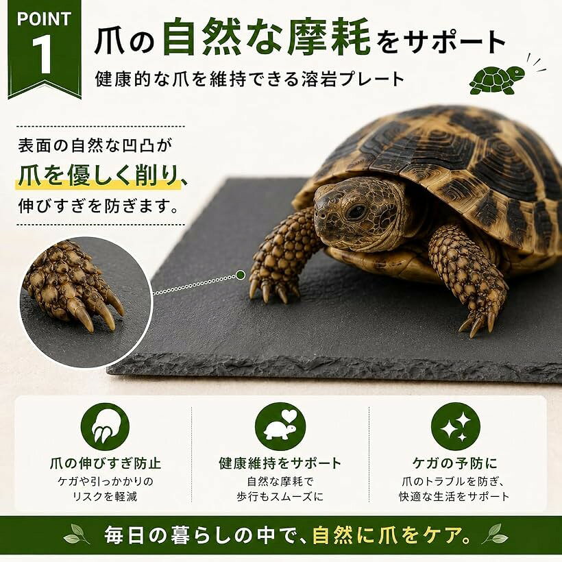 亀 溶岩 プレート 床材 陸地 リクガメ レオパ 保温 保湿 (ブラック, サークル10cm)