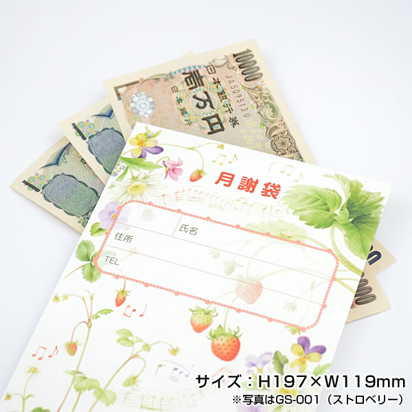 �ե���ƥ��� ����� �磻��ɥ����� GS-003��15�� 10���� �ߥ������� �μ�������