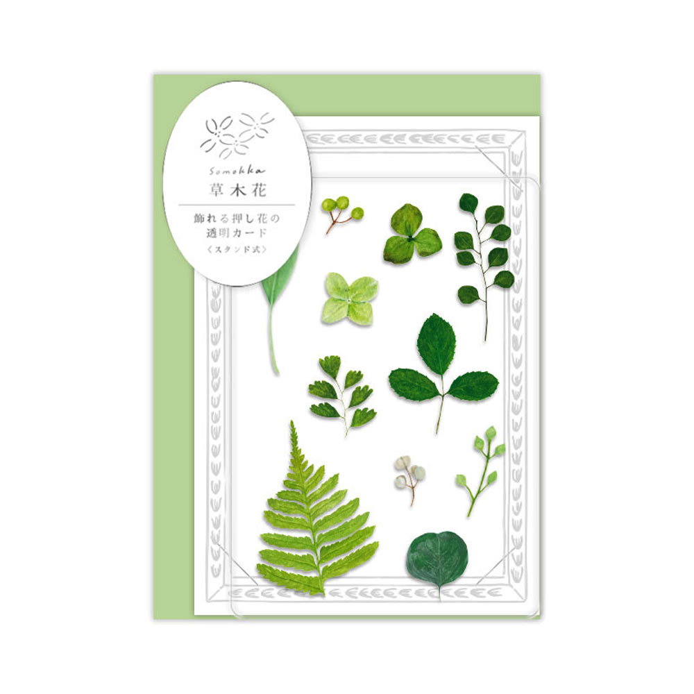 ʸ˼Ź ߾Ʋ㤨ڲ ʥå ֤Ʃ ¿Ū ꡼ SMTC-03   ꡼ƥ󥰥 Birthday Card  ˤ աפβǤʤ495ߤˤʤޤ