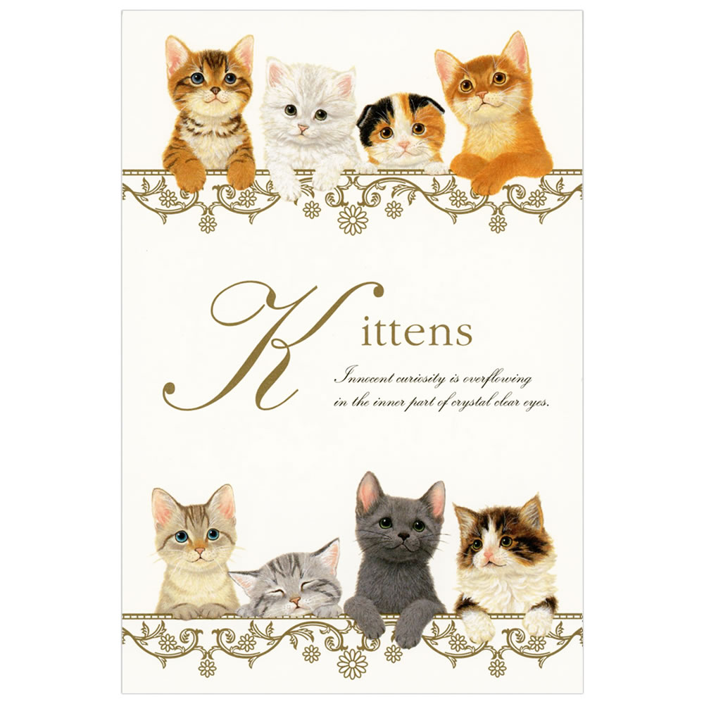 はがき箋 キトゥンズA 3051704 （16） 8枚入（2柄） エヌビー社 NB