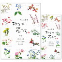 レターセット 折々の花たち(横罫) 23-237 23-238 (A-9) 外山康雄 美濃和紙 便箋封筒 表現社大人 オシャレ シンプル(3)