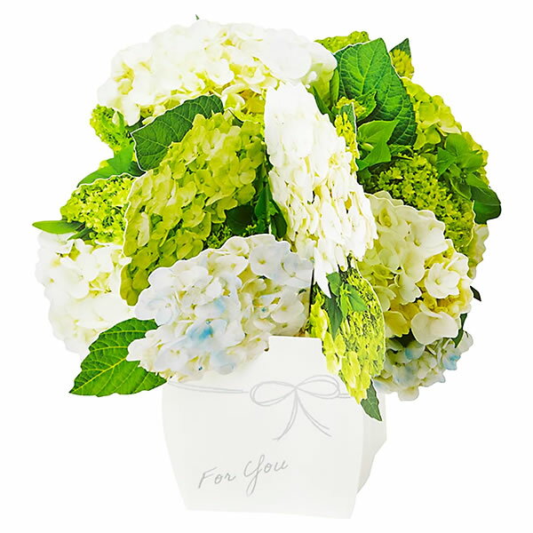 グリーティングカード 多目的 初夏カード 花瓶に白いアジサイ S2908 サンリオ 紫陽花 アジサイ サマーカード 立体カード 多用途 飛び出す カード saniroのサムネイル