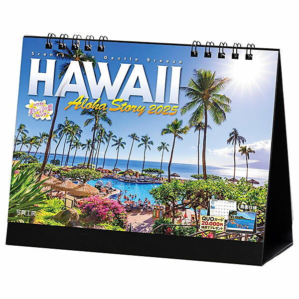 2025 カレンダー 卓上 写真工房 E-03 ハワイ Aloha Story 182×144mm 両面仕様 ポストカード付き 令和7年
